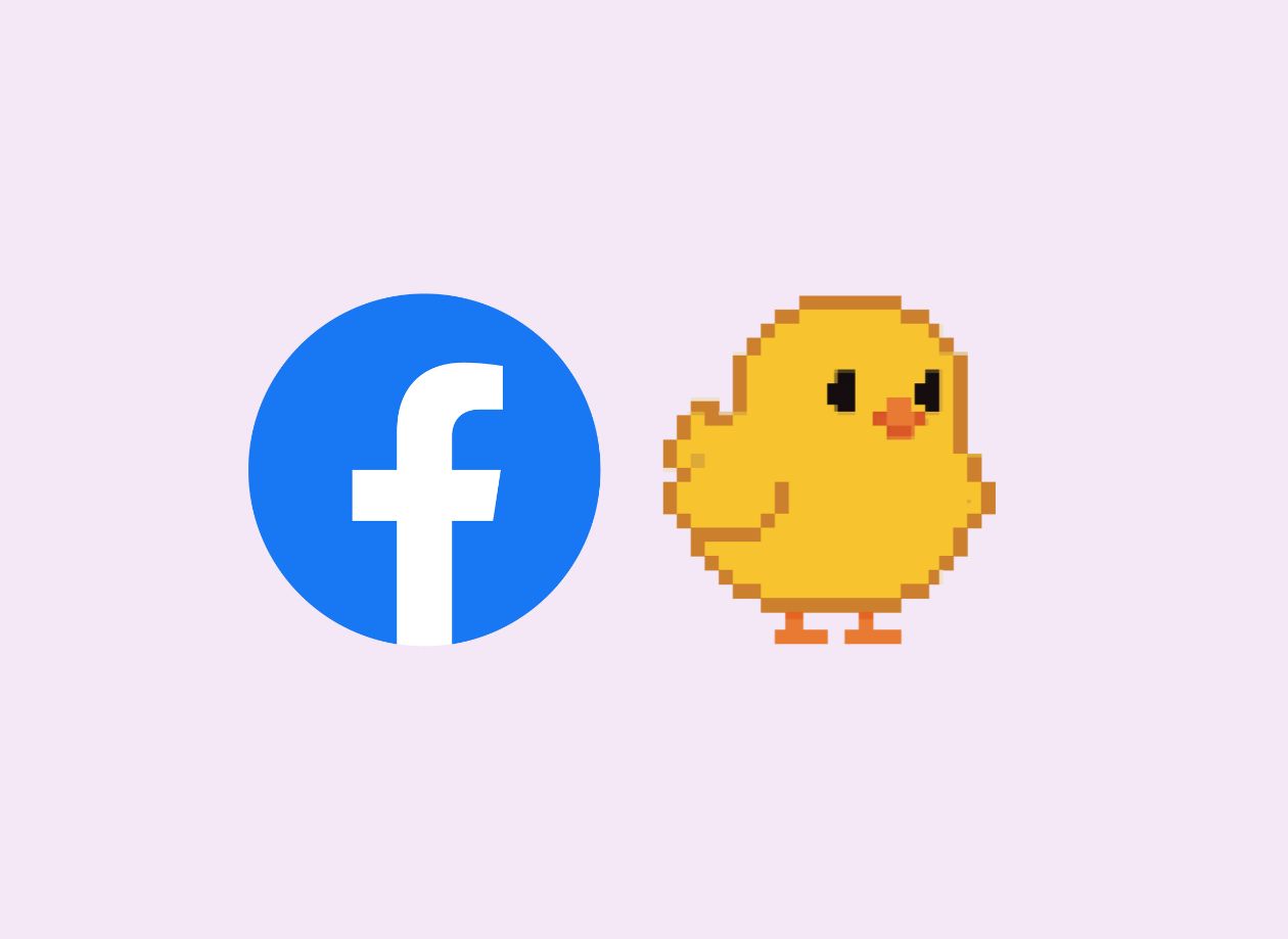 Facebook Pixel Showit
