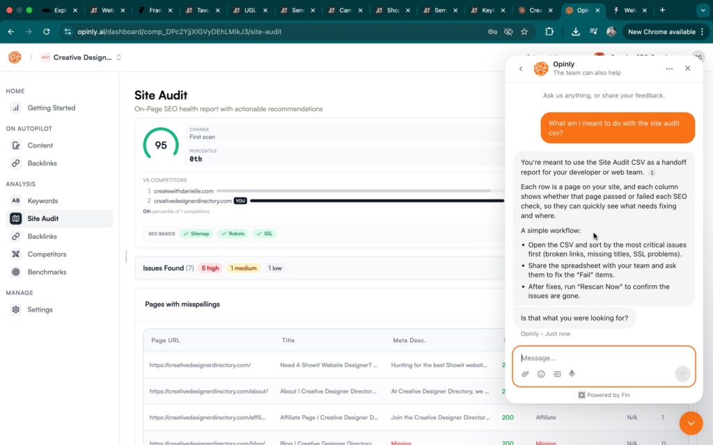 Site Audit